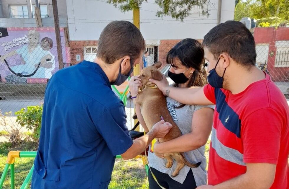 Continúa la Campaña de Vacunación Antirrábica en Gualeguaychú