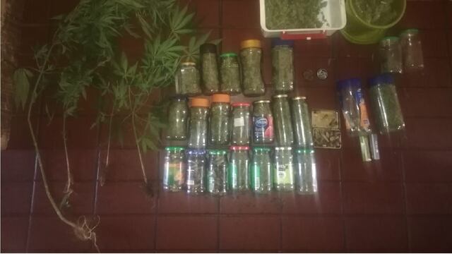 Frascos con hojas secas y cogollos de marihuana entre otros derivados de la planta.