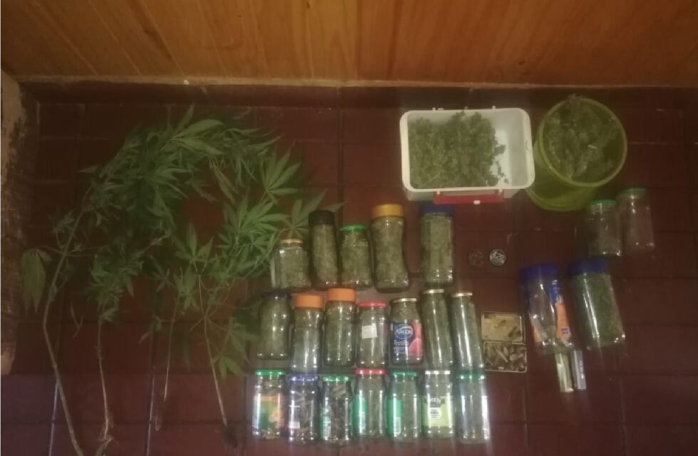 Tres detenidos en dos procedimientos antidroga en San Rafael y Malargüe