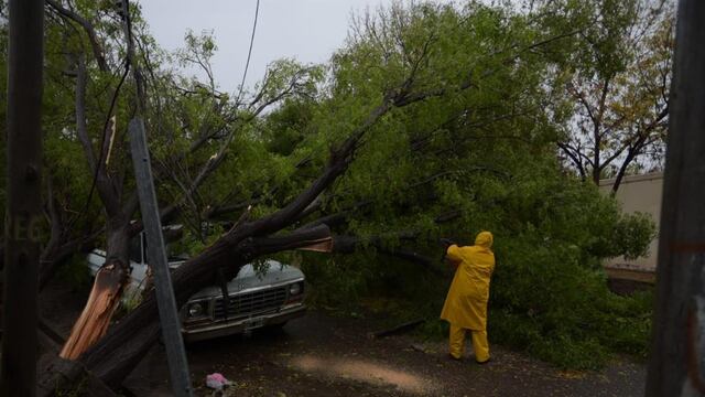 Los árboles caídos fueron el primcipal problema en el departamento sureño.