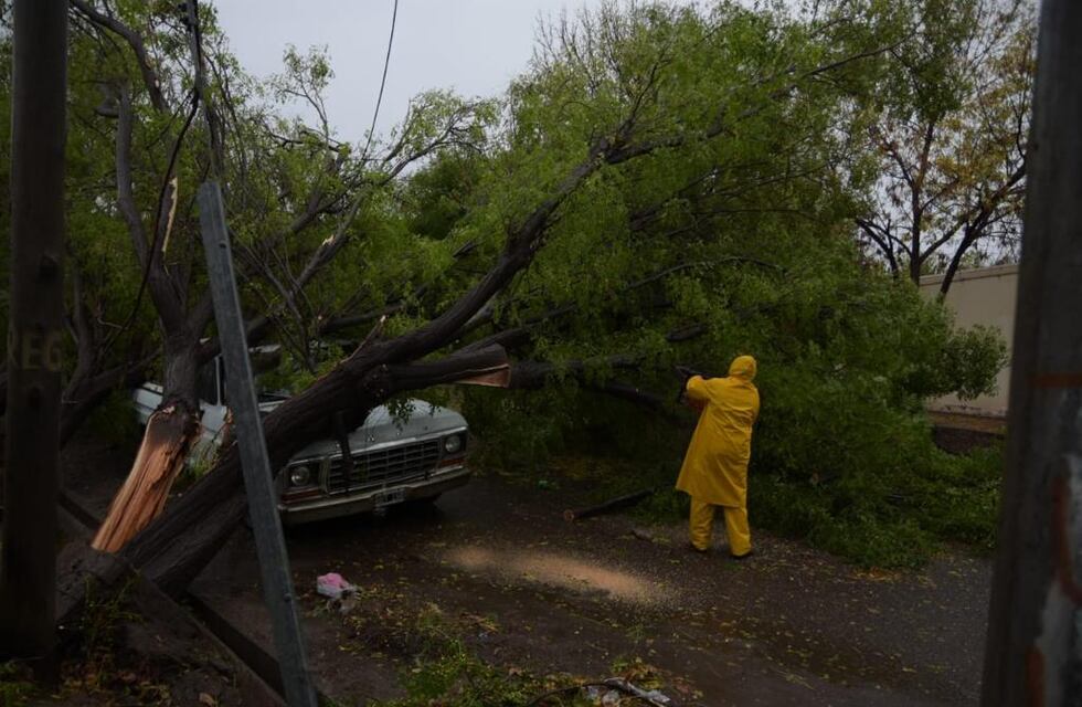 Tormenta: en Alvear precipitaron más de 100 milímetros de agua