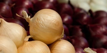 La cebolla aumentó más del 500% en un año.