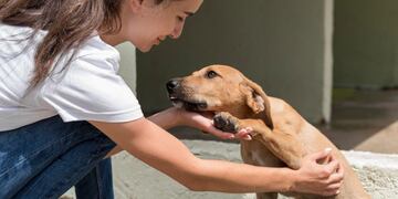 Firmarán un convenio que tendrá como eje las mascotas