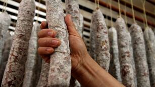 En 2023 se registraron 248 casos de Triquinosis en el ámbito bonaerense: cómo es la situación en Tandil