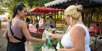 Feria Desde el Origen
