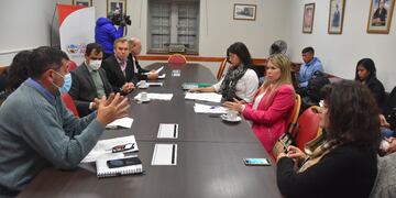 La Comisión de Salud de la Legislatura de Jujuy se reunió en el salón "Raúl Alfonsín" para continuar trabajando sobre el proyecto de ley para visibilización y tratamiento de la endometriosis.