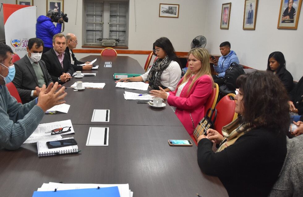 La Legislatura de Jujuy trabaja un proyecto sobre endometriosis