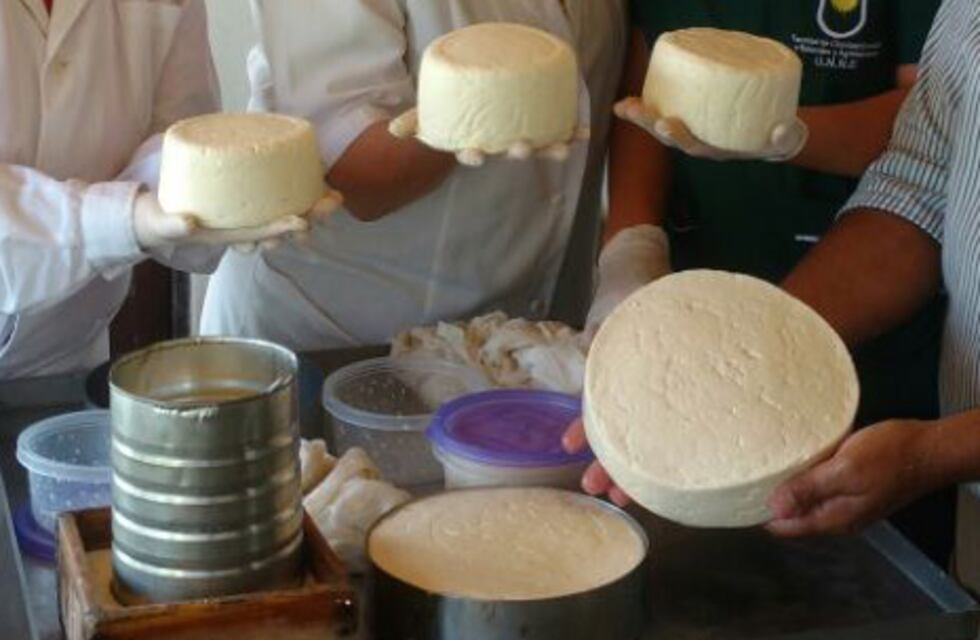 Más producción y mejora de calidad e inocuidad de quesos artesanales de la región