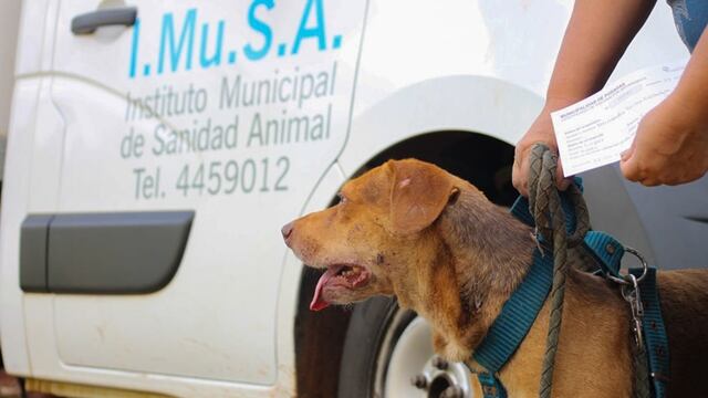 Está desde las 8 de la mañana en el Polideportivo Pepe Piró.