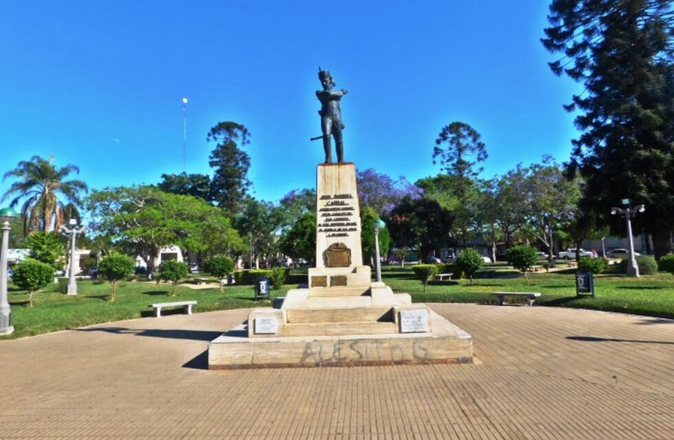 Corrientes: abejas atacaron a un niño y mataron a su perro