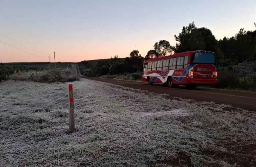 Otra helada histórica en San Pedro: preocupación en el agro por las pérdidas