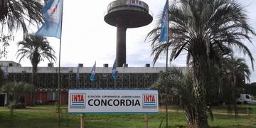 INTA Concordia