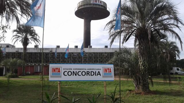 INTA Concordia