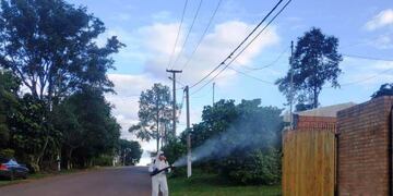 Operativos de control de vectores en Eldorado y Santiago de Liniers.