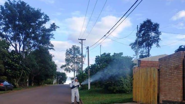 Operativos de control de vectores en Eldorado y Santiago de Liniers.