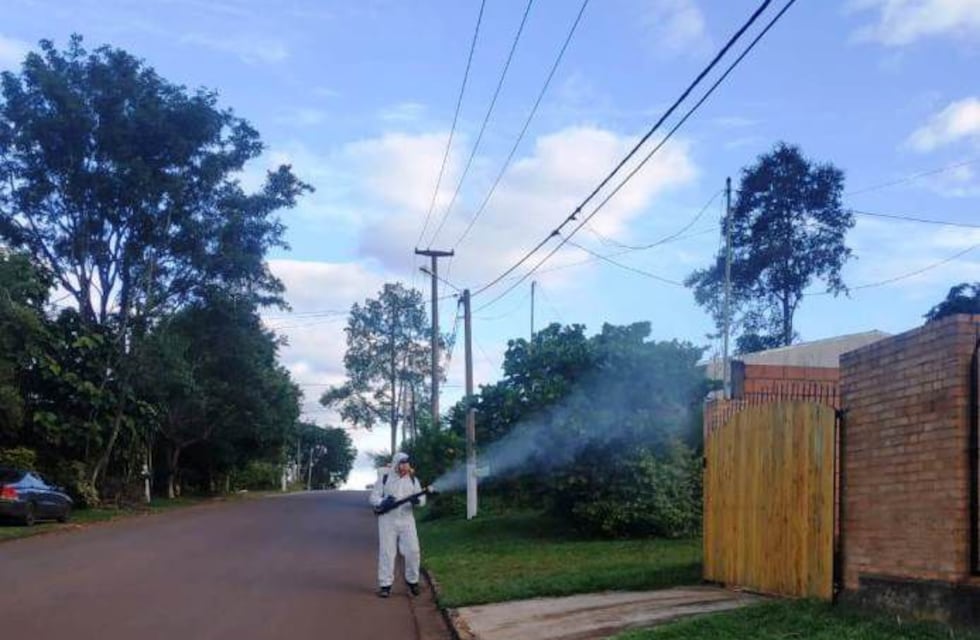 Operativos de control de vectores en Eldorado y Santiago de Liniers