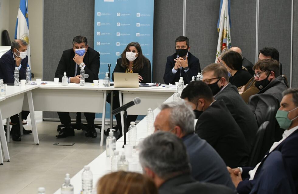 Para la ministra de Salud “no existe la posibilidad de ocultamiento de datos”