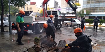Daños que dejó la tormenta en Rosario