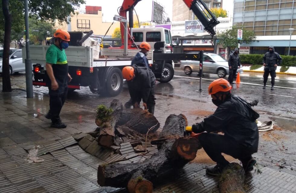 La tormenta provocó al menos 31 árboles caídos y cuatro voladuras de techo