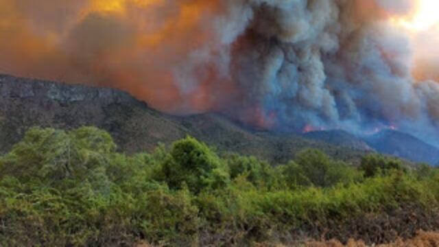 El fuego avanza en la cordillera.