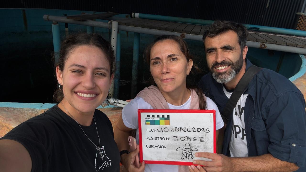 La bióloga Mariela Dassis en la 32º Feria del Libro disertó sobre su participación en la liberación del “Tortugo Jorge”