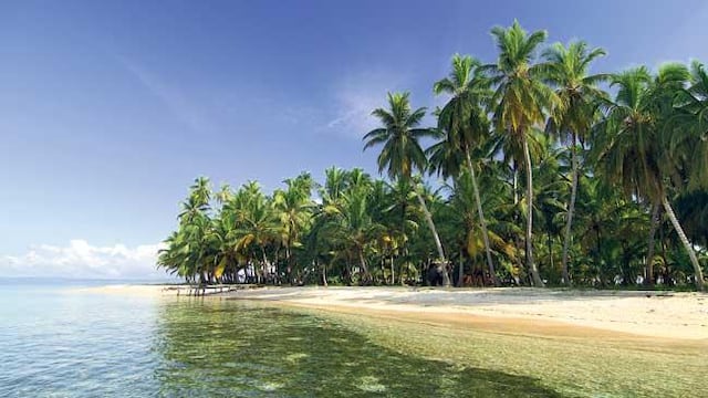 Un cordobés descansaba bajo la sombra de las palmeras cuando recibió una exótica visita.