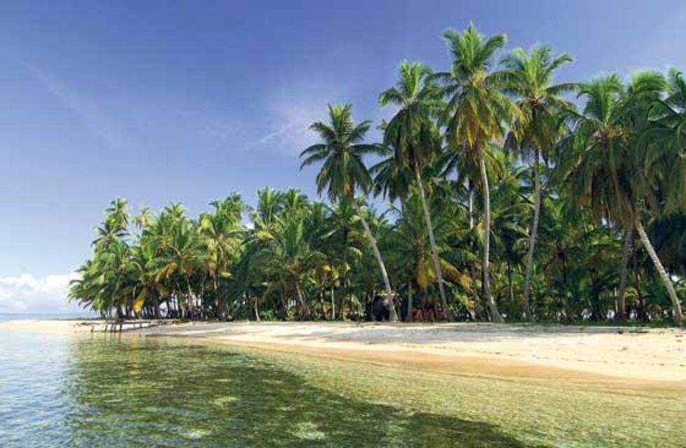 ¡Para el infarto!: un cordobés dormía en la playa, pero un íntimo encuentro con un exótico animal le interrumpió la siesta