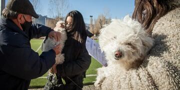 El Veterinaria Móvil de la municipalidad de Las Heras estuvo en Uspallata en donde se atendieron más de 100 animales. Se castró, vacunó y desparacitó. Fuente MLH