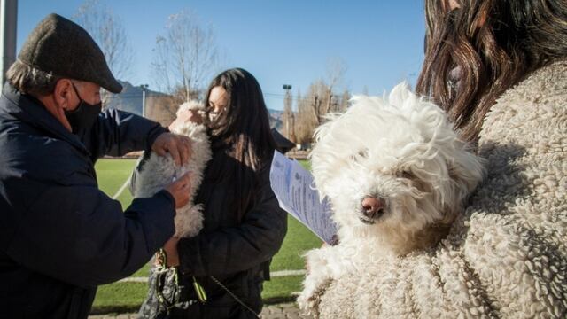 El Veterinaria Móvil de la municipalidad de Las Heras estuvo en Uspallata en donde se atendieron más de 100 animales. Se castró, vacunó y desparacitó. Fuente MLH
