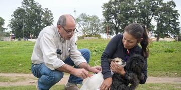 Campaña Vacunación Antirrábica en Arroyito 2024