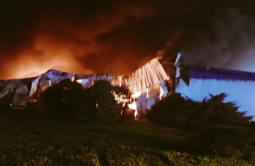 Invernadero de pollos quedó destrozado por completo tras un incendio nocturno