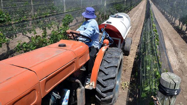 31/10/13  SAN MARTIN MZA, EL CENTRO DE BODEGUEROS DEL ESTE HARA UNA PRESENTACION JUDICIAL CONTRA SENASA, EL TEMA ES LA OBLIGACION  A LOS PRODUCTORES  DE FUMIGAR CONTRA LA POLILLA, COSTOS QUE NO PUEDEN AFRONTAR, EN LA FOTO: UN PRODUCTOR DE JUNIN FUMIGA LA VID
FOTO PATRICIO CANEOLOS ANDES