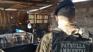 Estaba trabajando en una fábrica de Córdoba y se encontró con un animal de casi dos metros. Imagen a modo ilustrativo.