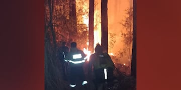 Bomberos luchan por apagar un incendio forestal en Mártires.