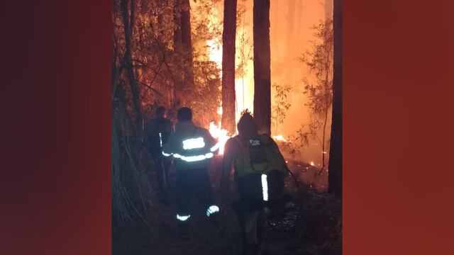 Bomberos luchan por apagar un incendio forestal en Mártires.