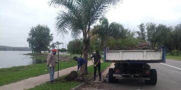 Continúan las tareas de limpieza y mantenimiento tras el temporal en Carlos Paz.