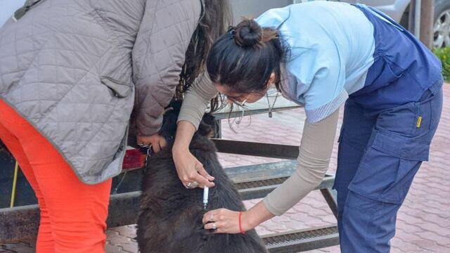 Exitosa jornada de “Zoonosis más Cerca” en Ushuaia