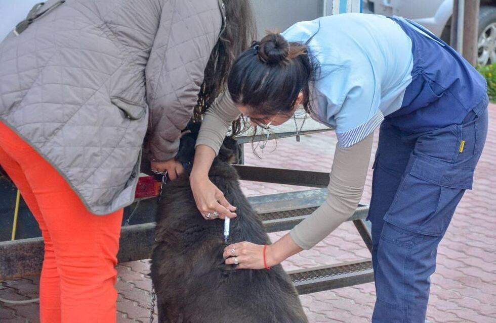 Exitosa jornada de “Zoonosis más Cerca” en Ushuaia