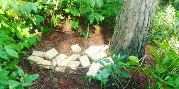 Secuestran cargamento de marihuana en Puerto Iguazú.