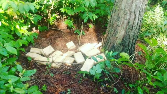 Secuestran cargamento de marihuana en Puerto Iguazú.