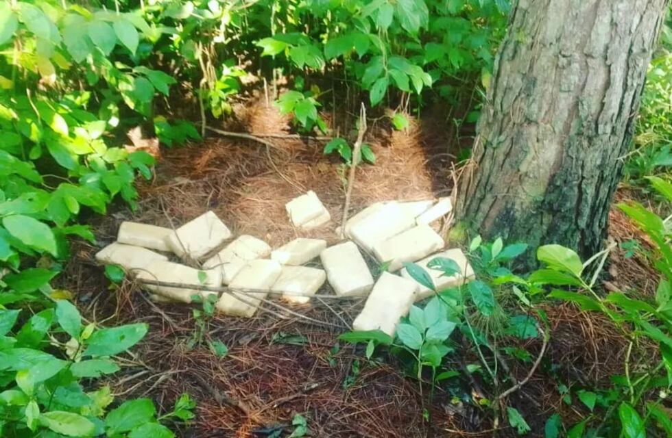 Secuestran cargamento de marihuana en Puerto Iguazú
