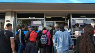 Anses (Foto ilustrativa)