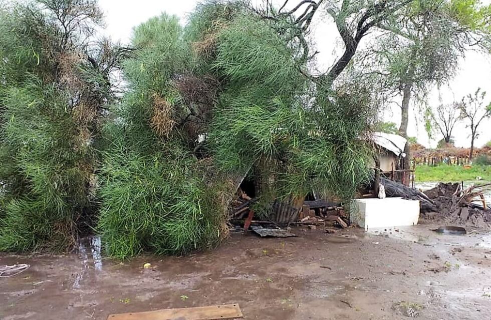 Tormentas en el sudoeste chaqueño: Gancedo sufrió un fuerte temporal con daños materiales
