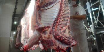 Frigorífico Logros, en Rio Segundo.  Operarios faenan, despostan y cortan medias reses. media res, faena cámara frigorífica carne de exportación
22 abril 2021 foto Nicolas Bravo