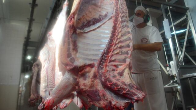 Frigorífico Logros, en Rio Segundo. Operarios faenan, despostan y cortan medias reses. media res, faena cámara frigorífica carne de exportación
22 abril 2021 foto Nicolas Bravo