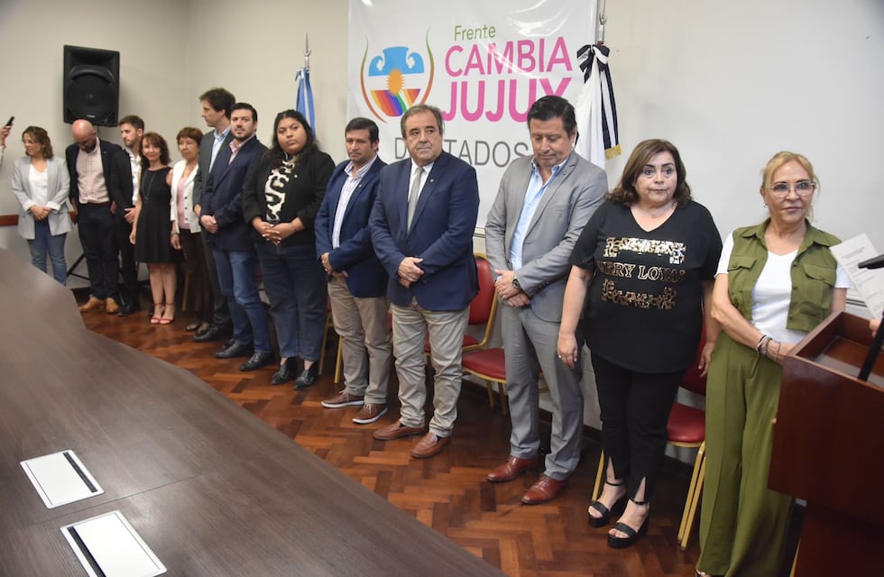 La diputada Guzmán sostiene que “no es la solución bajar la edad de imputabilidad”