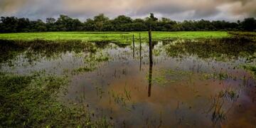 Casa Común es un plan federal orientado a promover el desarrollo humano integral y sostenible mediante iniciativas innovadoras de producción, concienciación y educación.