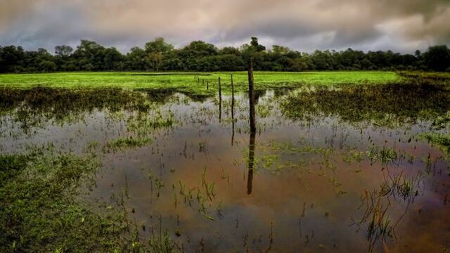 Casa Común es un plan federal orientado a promover el desarrollo humano integral y sostenible mediante iniciativas innovadoras de producción, concienciación y educación.