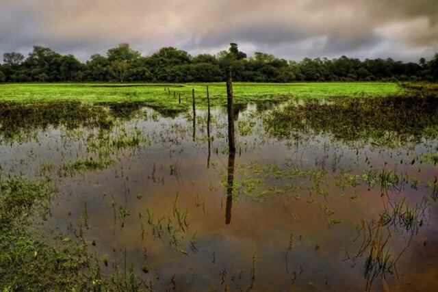 Casa Común es un plan federal orientado a promover el desarrollo humano integral y sostenible mediante iniciativas innovadoras de producción, concienciación y educación.