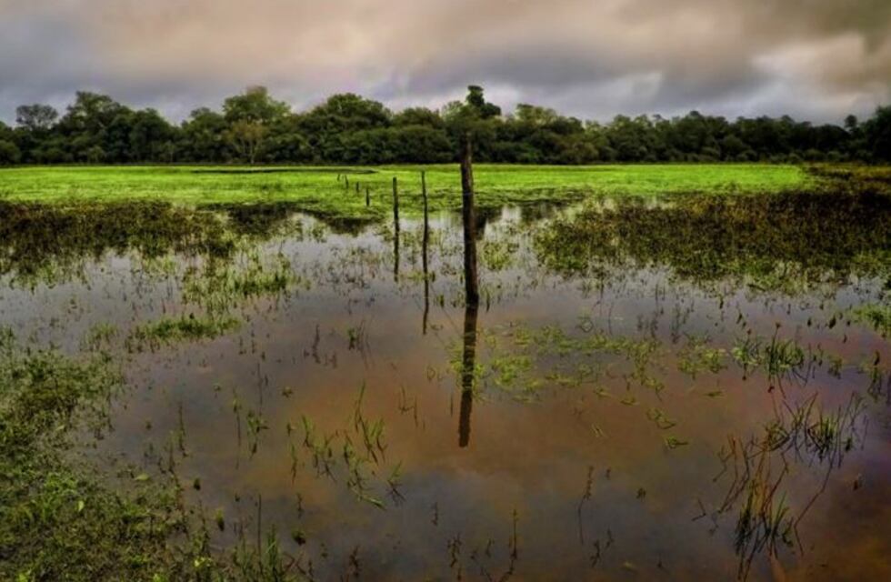 Chaco entre las provincias con más iniciativas ambientales a nivel nacional